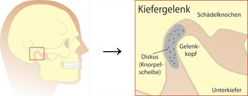 Kiefergelenk